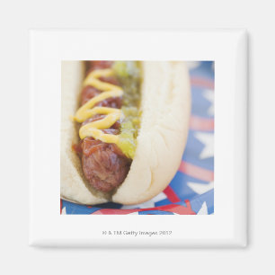 Hot Dog on Red, White, and Blue Plate Magnet