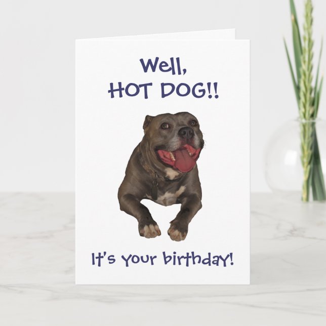 Hot Dog Pitbull Birthday Card (Front)