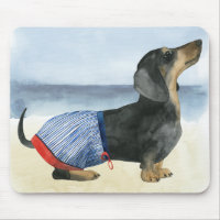 Hot Dog | Puppy In Swimming Trunks