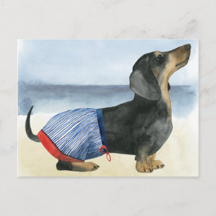 Hot Dog Puppy In Swimming Trunks Postcard