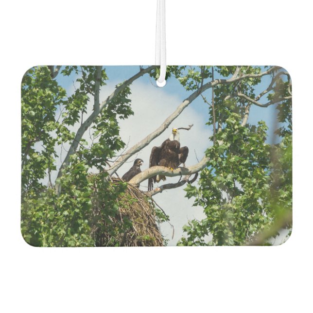 Hot Eagles Car Air Freshener (Front)