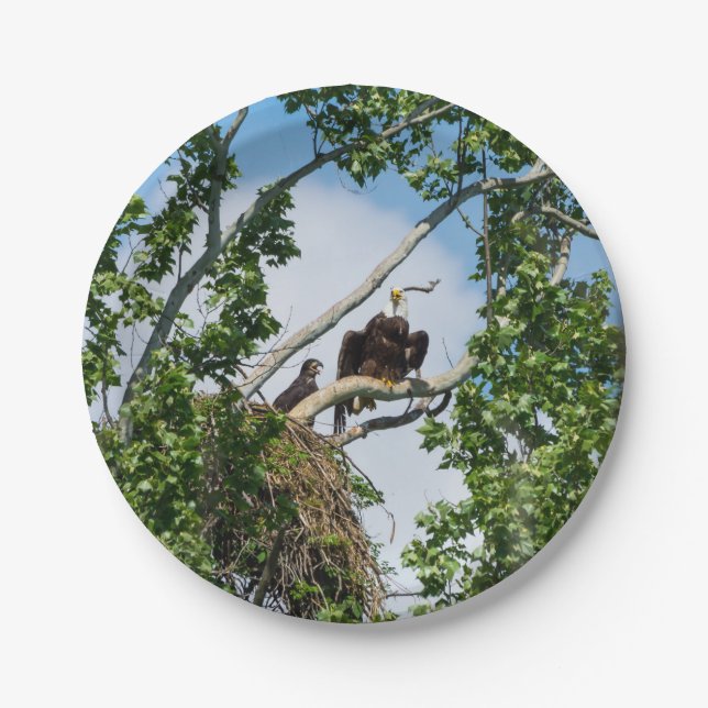 Hot Eagles Paper Plate (Front)