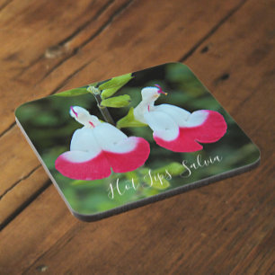 Hot Lips Salvia Floral Coaster