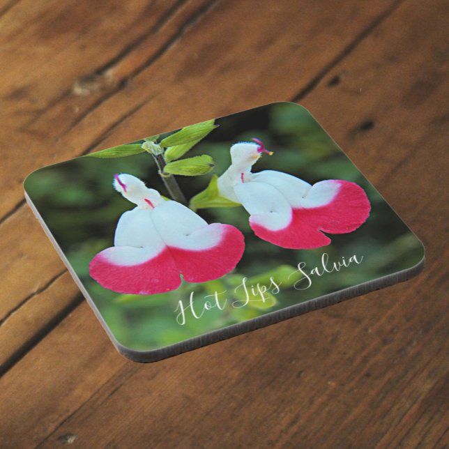 Hot Lips Salvia Floral Coaster (In Situ)