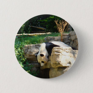 Hot Panda 6 Cm Round Badge