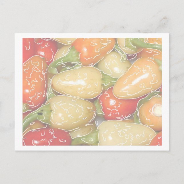 Hot peppers, faded background with tracing postcard (Front)