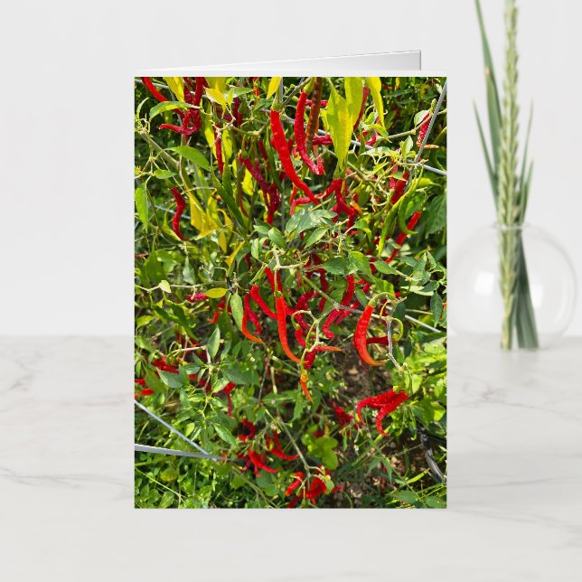 Hot Peppers for Hot Chile! Foil Greeting Card (Front)