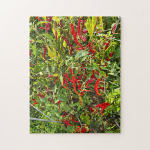 Hot Peppers for Hot Chile! Jigsaw Puzzle