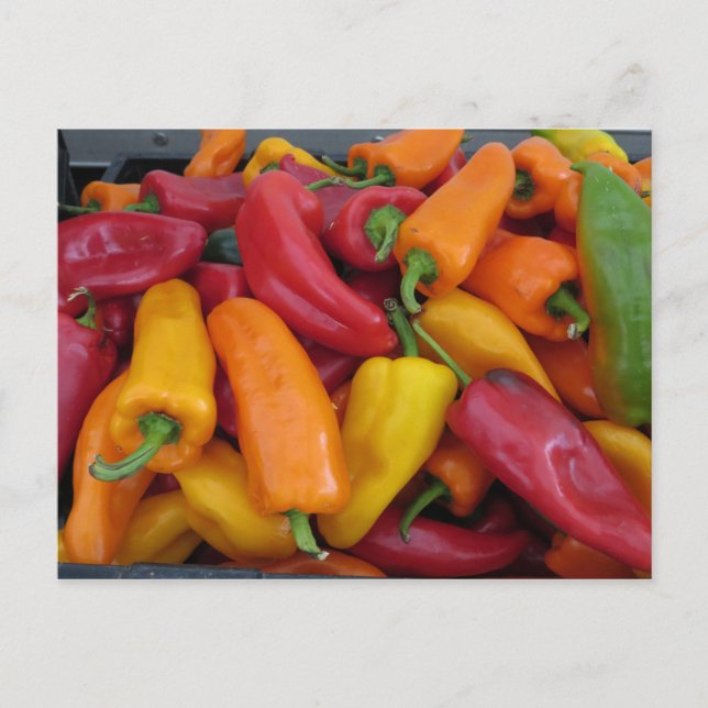 Hot Peppers Postcard (Front)