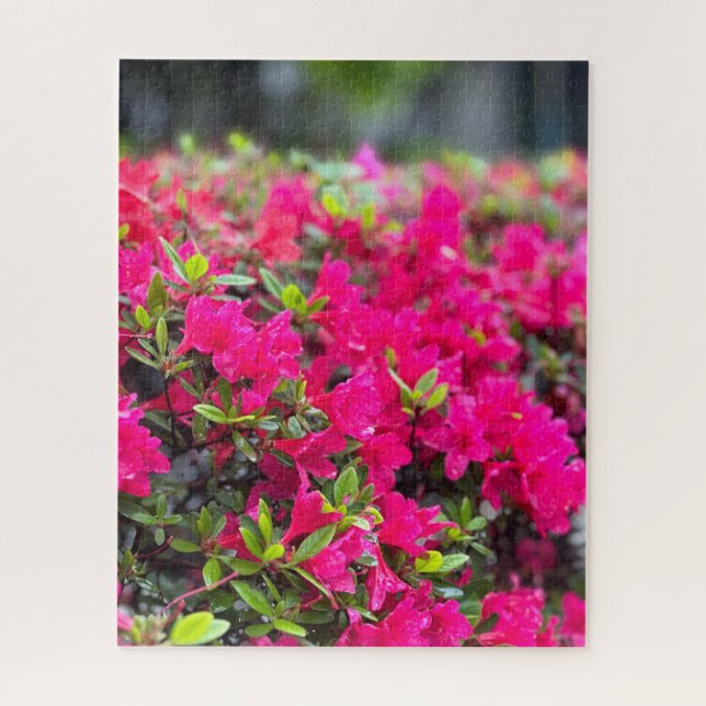 Hot Pink Azalea, Seoul Jigsaw Puzzle (Vertical)