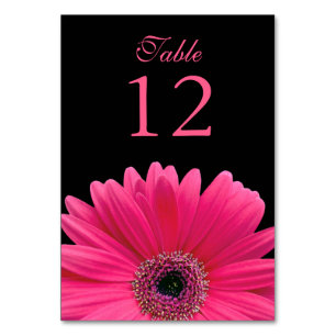 Hot Pink Black Gerber Daisy Wedding Table Number