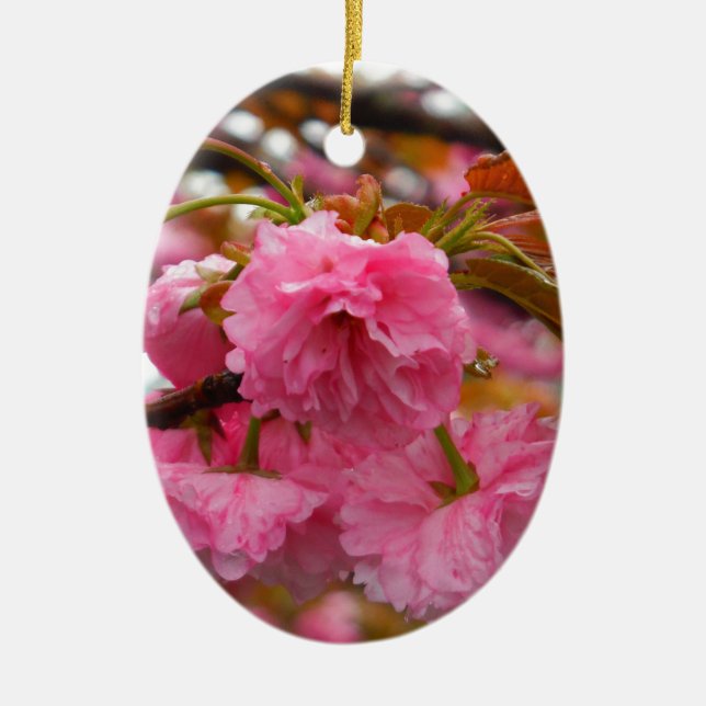 Hot Pink Cherry Blossom Flowers Ceramic Tree Decoration (Front)