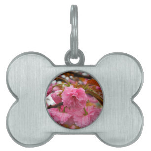 Hot Pink Cherry Blossom Flowers Pet ID Tag
