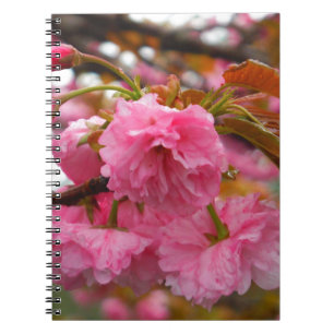 Hot Pink Cherry Blossom Flowers Spiral Notebook