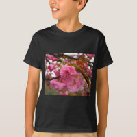 Hot Pink Cherry Blossom Flowers
