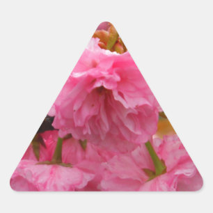 Hot Pink Cherry Blossom Flowers Triangle Sticker
