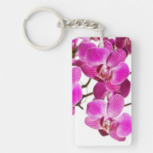Hot Pink Dendrobium Orchid - Orchids Background Key Ring