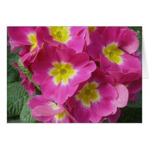 Hot Pink Flower Note Card