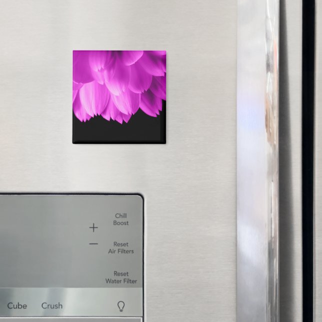 Hot pink flower petals on black magnet (In Situ (Fridge))