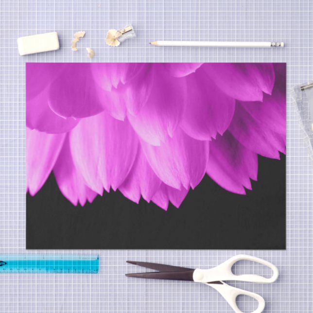 Hot pink flower petals on black tissue paper (Craft)
