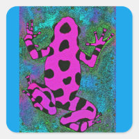 Hot Pink Frog with Black Spots