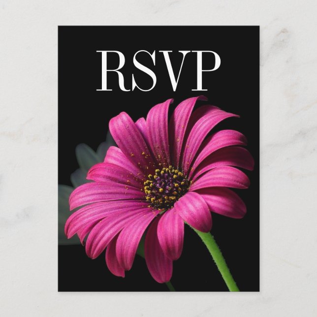 Hot Pink Gerber Daisy Wedding RSVP Postcard (Front)