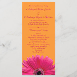 Hot Pink Gerbera Daisy Orange Wedding Program Programme