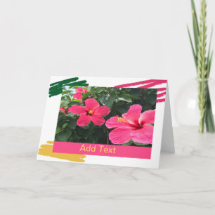 Hot Pink Hibiscus Card