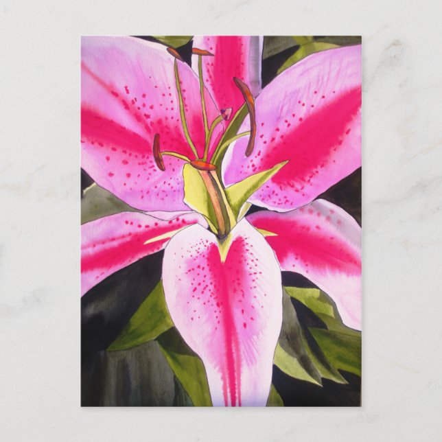 Hot Pink lily flower watercolor pop art flower Postcard (Front)