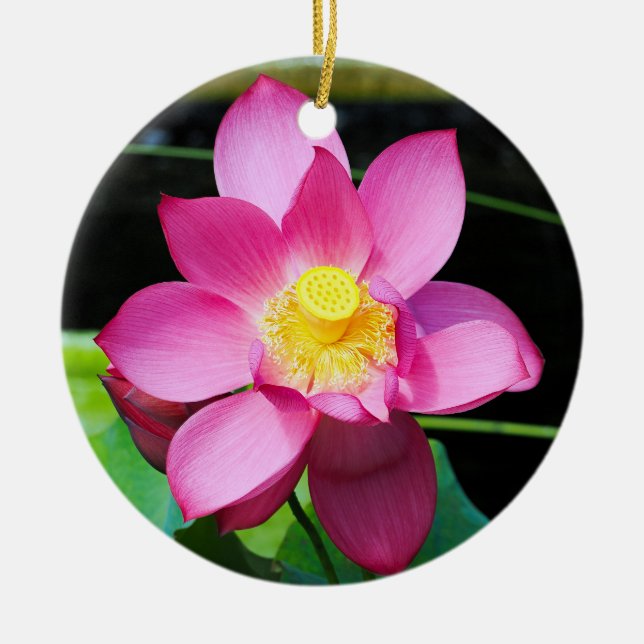 Hot Pink Lotus Flower Ceramic Tree Decoration (Front)