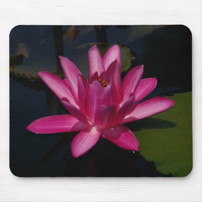Hot Pink Lotus Waterlily Mouse pad (Front)
