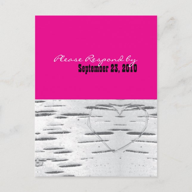 hot pink modern Birch Postcard (Front)