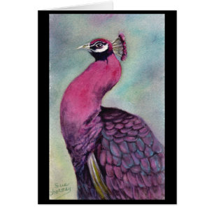 HOT PINK PEACOCK