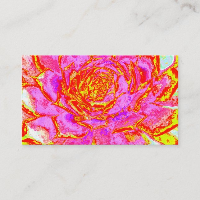 Hot Pink, Red and Yellow Succulent Sedum Rosette Business Card (Front)