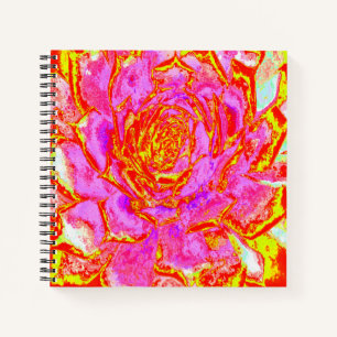 Hot Pink, Red and Yellow Succulent Sedum Rosette Notebook