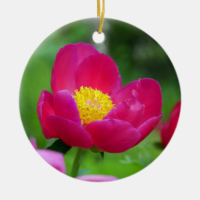 Hot Pink Rose Ceramic Tree Decoration (Front)