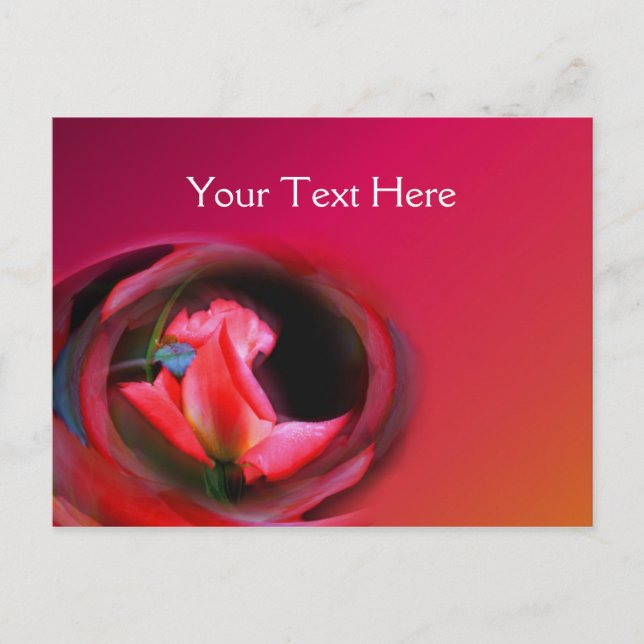 Hot Pink Rosebud Abstract Flower Postcard (Front)
