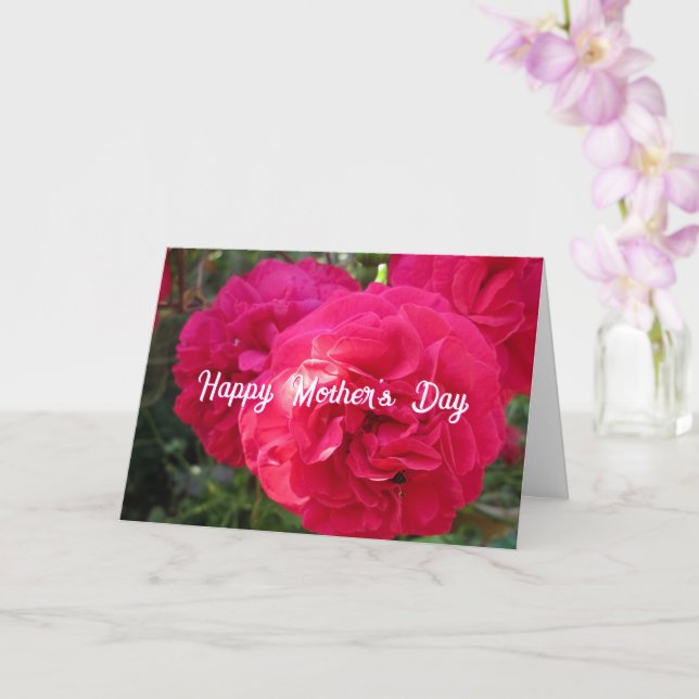 Hot Pink Roses - Personalised Mother's Day Card (Orchid)