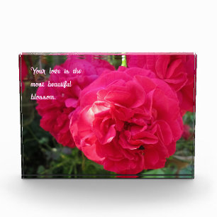 Hot Pink Roses - Personalised Photo Block