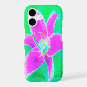 Hot Pink Stargazer Lily on Turquoise and Green