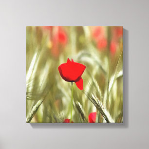 Hot Poppy Acrylic Painting Canvas Print