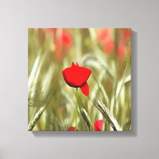 Hot Poppy Acrylic Painting Canvas Print
