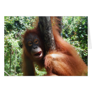 Hot Redhead a real animal
