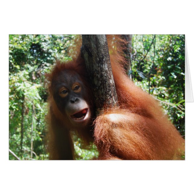 Hot Redhead a real animal (Front Horizontal)