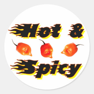 Hot & Spicy /5 Classic Round Sticker