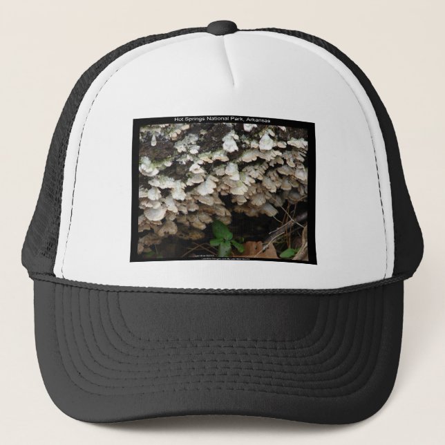 Hot Spings National Park, Arkansas Tree Fungus Trucker Hat (Front)