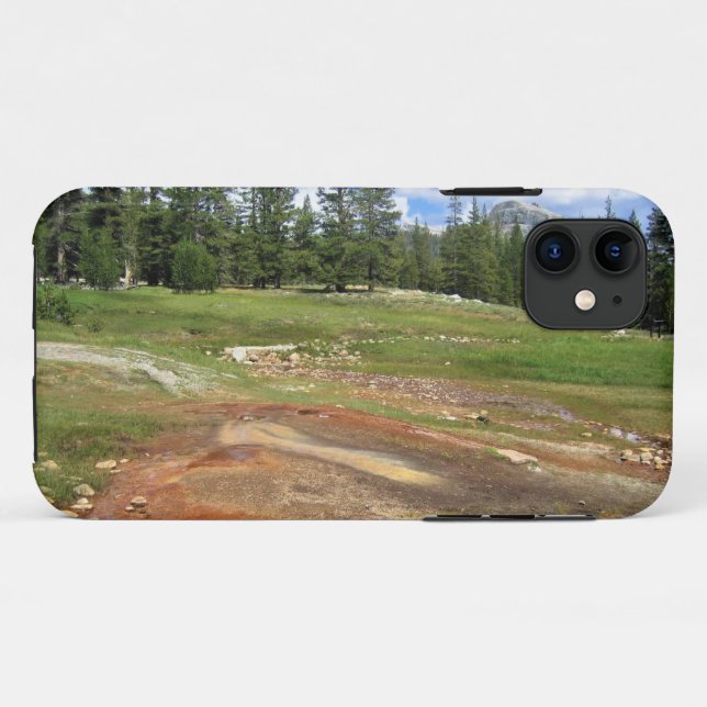 Hot Springs in Tuolumne Meadows, Yosemite, CA Case-Mate iPhone Case (Back (Horizontal))