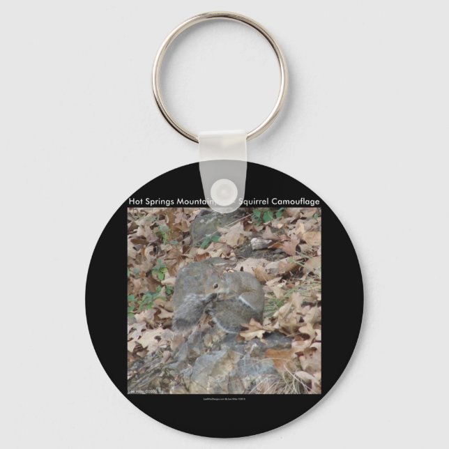 Hot Springs Mountain, AR Squirrel Camouflage Gifts Key Ring (Front)