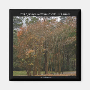 Hot Springs National Park, AR Above the Promenade Magnet