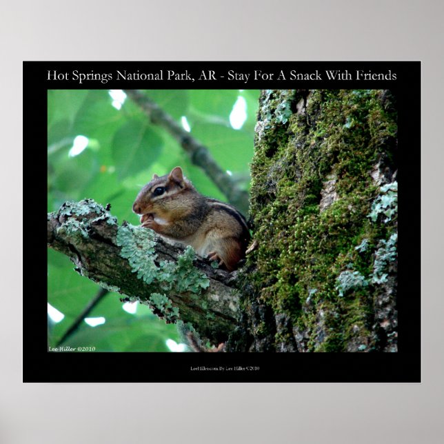 Hot Springs National Park, AR Chipmunk Snack Poster (Front)